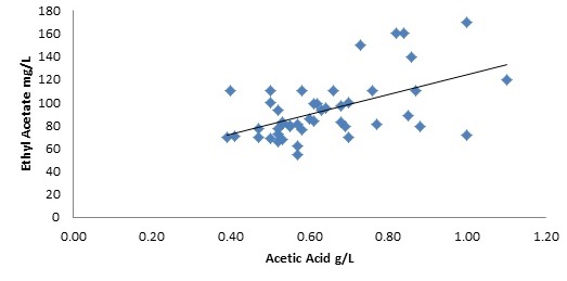 ethyl acetate a misunderstood
