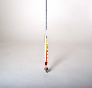 Mustimeter with inbuilt thermometer (Dujardin-Salleron)
