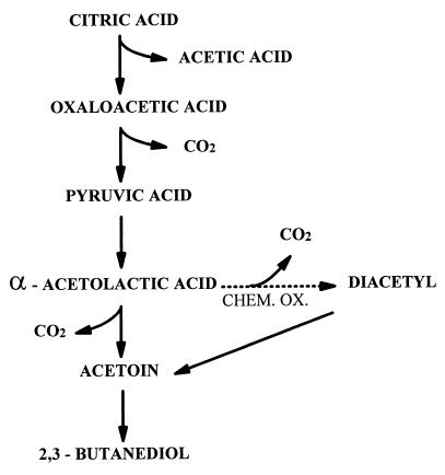 Citric Acid Degradation