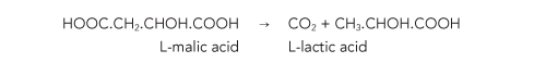 Malolactic Fermentation Equation