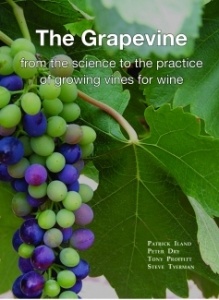 The Grapevine: from the science to the practice of growing vines for wine
