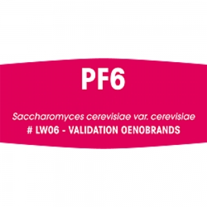 Fermivin PF6 Yeast 500g