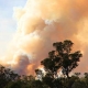 bush-fire