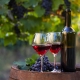 Perfecting Wines naturally